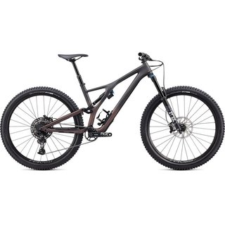 Specialized SJ COMP CARBON EVO 29 CARB/GUN S2