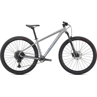 Soecialized Rockhopper Expert 29 SATIN SILVER DUST